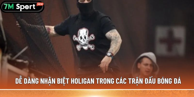 Holigan trong bóng đá được hiểu như thế nào cho đúng? 6 Dễ dàng nhận biệt holigan trong các trận đấu bóng đá